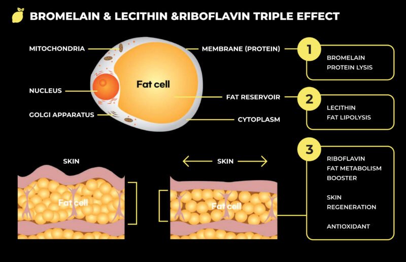 lemon bottle fat dissolving,lemon bottle fat dissolving near me,lemon bottle fat dissolver results,buy lemon bottle fat dissolving,lemon bottle fat dissolving usa,lemon bottle fat dissolving usa where to buy,Lemon Bottle Fat Dissolver